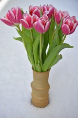 Schöne Tulpen mit Schneehintergrund 