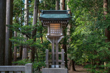 新潟 弥彦神社 参道の灯籠