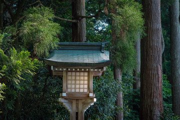 新潟 弥彦神社 参道の灯籠