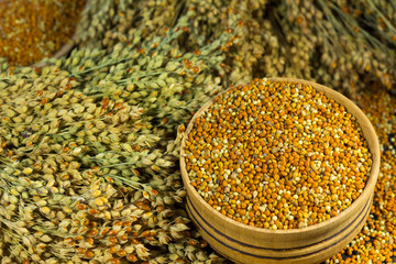 Sprigs of red millet and millet grains in a box. Close-up