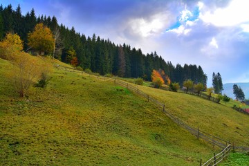 A mountain pasture