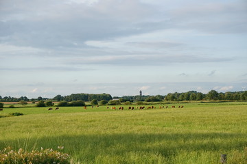 Wacken  aus der Ferne