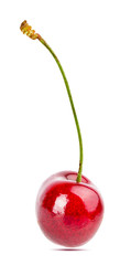 Cherry isolated on white background with clipping path