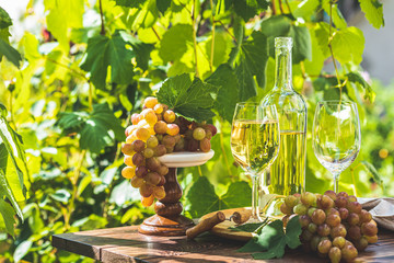 Grape and white wine. Green grape and white wine in vineyard
