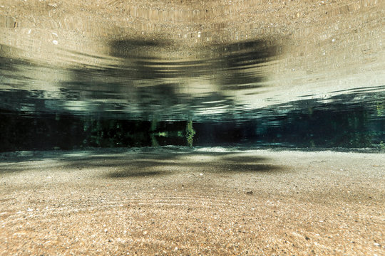 日本　静岡県　清水町　柿田川湧水群