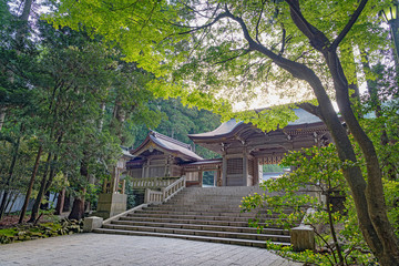 新潟 弥彦神社 随神門