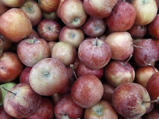 Closeup shot of fresh red and yellow apples