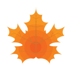 Signle Autumn leaf. Autumn maple leaf. Flat and solid color Vector illustration