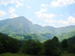 Obraz premium Natural picture of a mountain forest in the shadow of high peaks of a mountain ridge against a background of sunny blue sky.