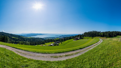 Bodensee Panorama