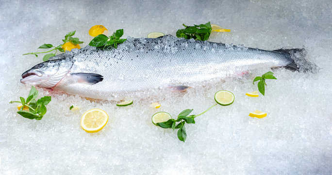 fresh red whole fish, lies on ice, headless, with green basil, light