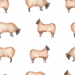 Watercolor farm  seamless pattern. Hand drawn sheeps. Hand drawn background. Village life.