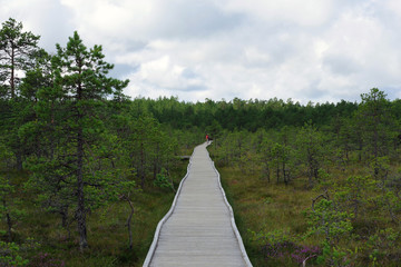 Passerelle traversant la tourbi&egrave;re