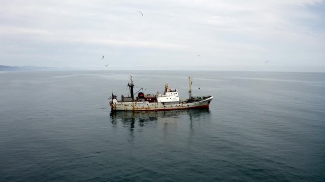 Fishingboat preparing return to shore with seagulls