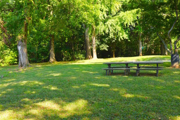 Picnic Tables in Treed Shade
