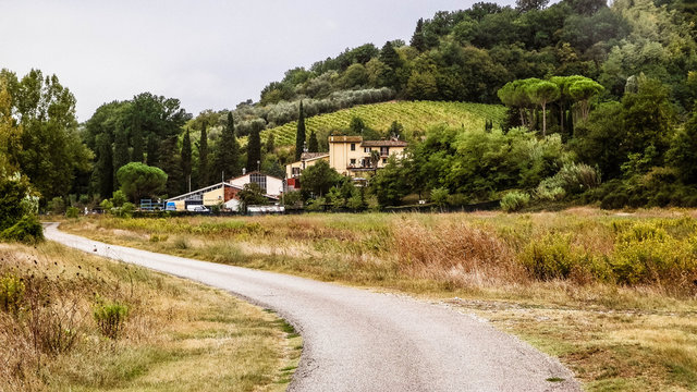 Fototapeta Road through a Tuscan Village.