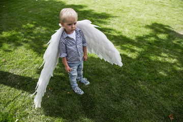 Portrait of little boy in angelic costume on a blue background