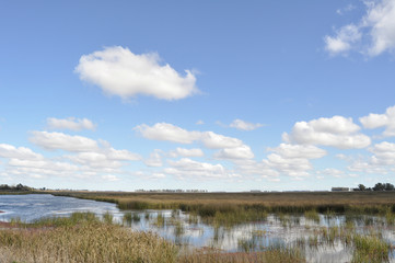 Obraz premium clouds and water