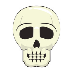 skull dead human anatomy cartoon