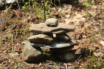 moss on rocks