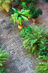 Obraz premium patio in the old house