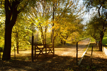 Tranquera con camino en el campo en tarde de otoño