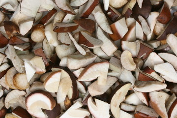 Frische Waldpilze geschnitten