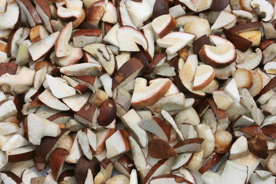 Frische Waldpilze geschnitten