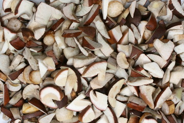 Frische Waldpilze geschnitten