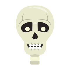 skull dead human anatomy cartoon