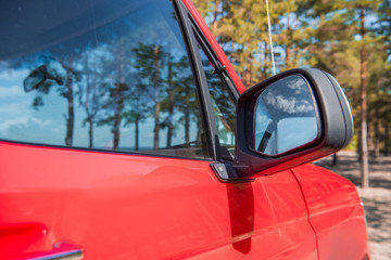 Obraz premium red car in forest with green trees in sunny day