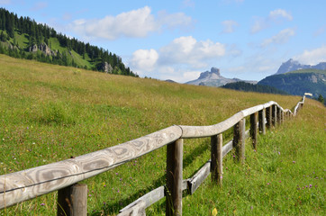 Fototapeta premium The fence