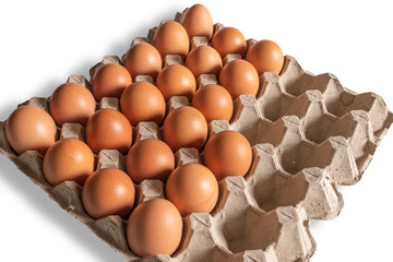 Eggs in the egg tray.