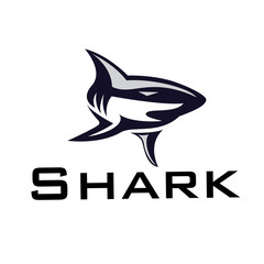 Swimming shark logo front view design inspiration