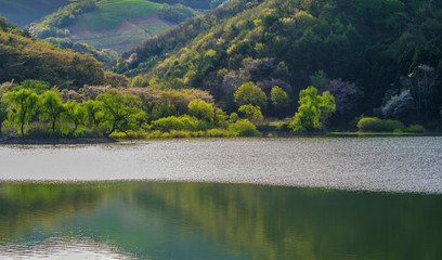 저수지. 풍경. 봄. 서산목장. 용비지. 서산시. 한국풍경. 배경. 