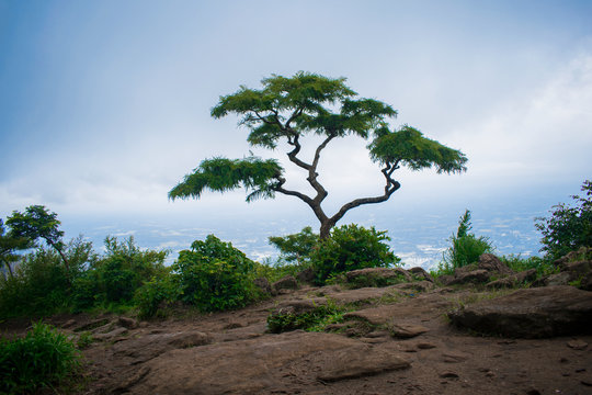 Nelliyampathy Hillstation, Kerala