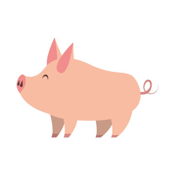 cute animal pig farm cartoon