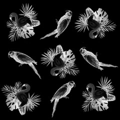 Parrot bird water color art illustration