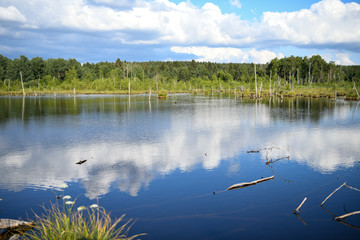 landscape with reflection lake and cloudy blue sky