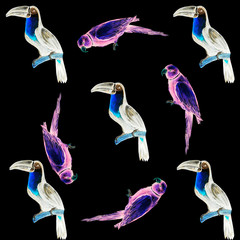 Parrot bird water color art illustration