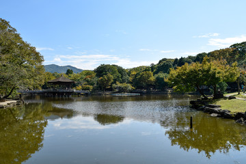 Fototapeta na wymiar 奈良公園 浮見堂