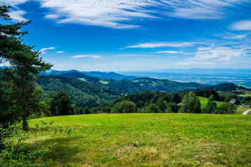 Fototapeta na wymiar Germany, Green hills, mountains and valley covered by green fir and conifer trees, endless view from mountain top at st ulrich near schauinsland mountain