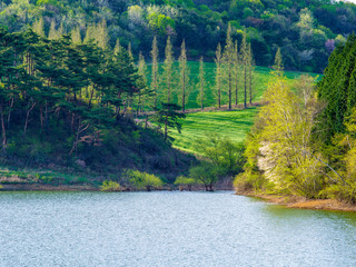 서산목장. 용비지. 봄. 풍경 . 서산시. 길. 목장. 초지. 초원. 아침풍경.