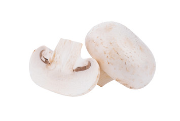 Fototapeta na wymiar white mushroom champignon isolated on white background