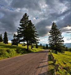 a road through the Bucegi mountains