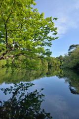 Fototapeta na wymiar 十二湖　八景の池