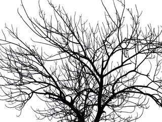 Leave-Less Tree Background