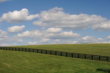 Landscape in rural setting