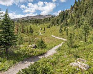 Alpine Trail in Sunshine Meadows