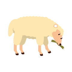 farm cute mammal animal cartoon